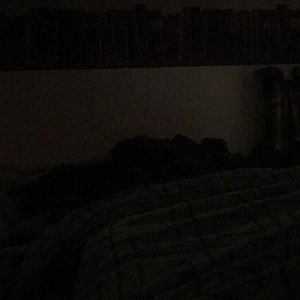 Meet your Posher, Kylee